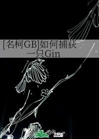 [名柯GB]如何捕获一只Gin
